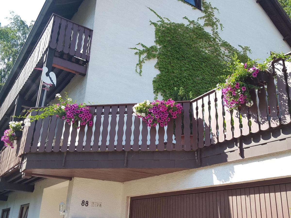 Gaestehaus Gerhardt Schweigen-Rechtenbach Eksteriør billede