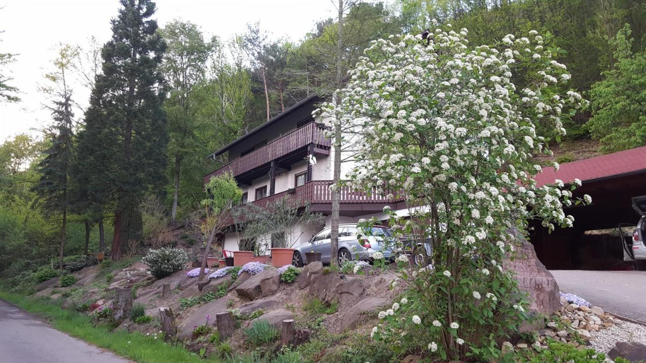 Gaestehaus Gerhardt Schweigen-Rechtenbach Eksteriør billede